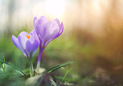 プライバシーポリシー